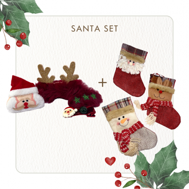 Make a Wish: Santa Set