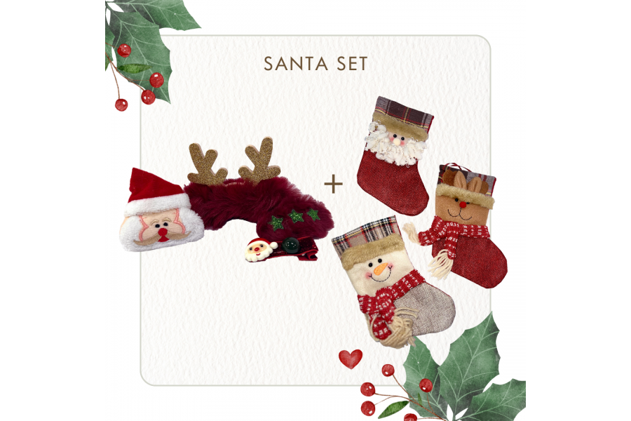 Make a Wish: Santa Set