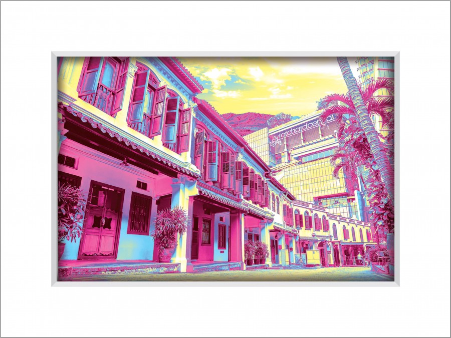 Orchard Road Shophouses