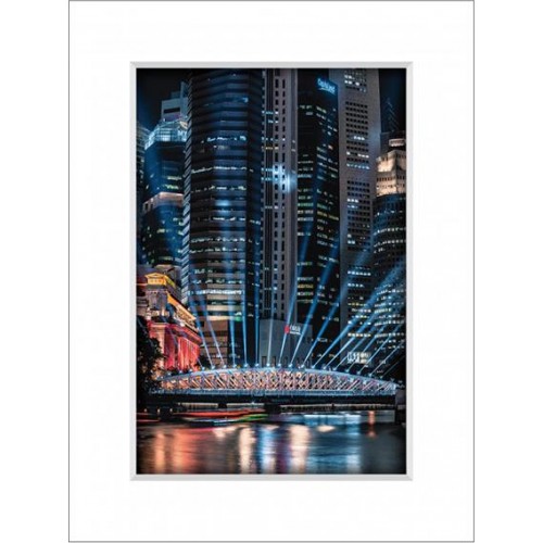 Singapore Central Bridge