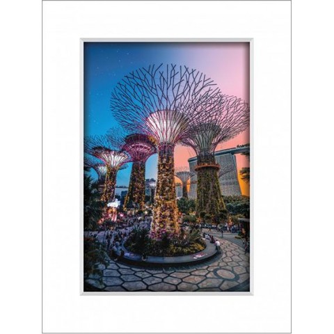 Gardens By The Bay 6