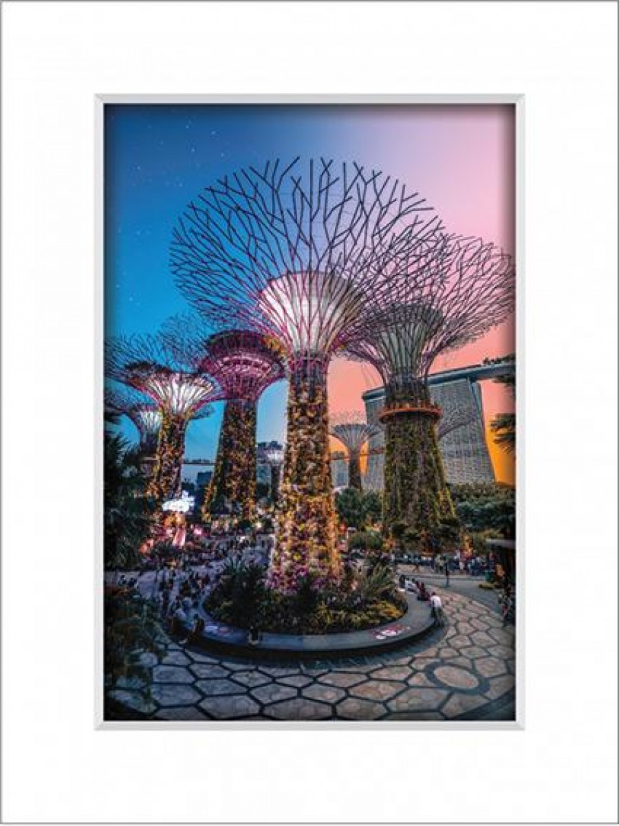 Gardens By The Bay 6