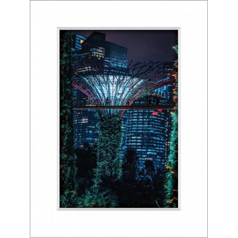 Gardens By The Bay 7