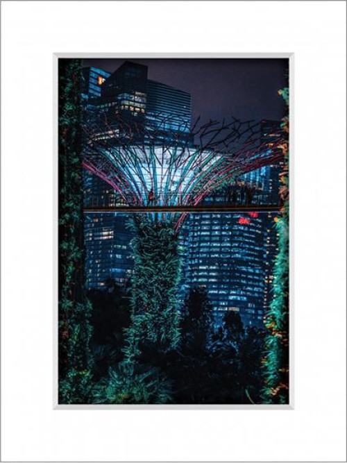 Gardens By The Bay 7