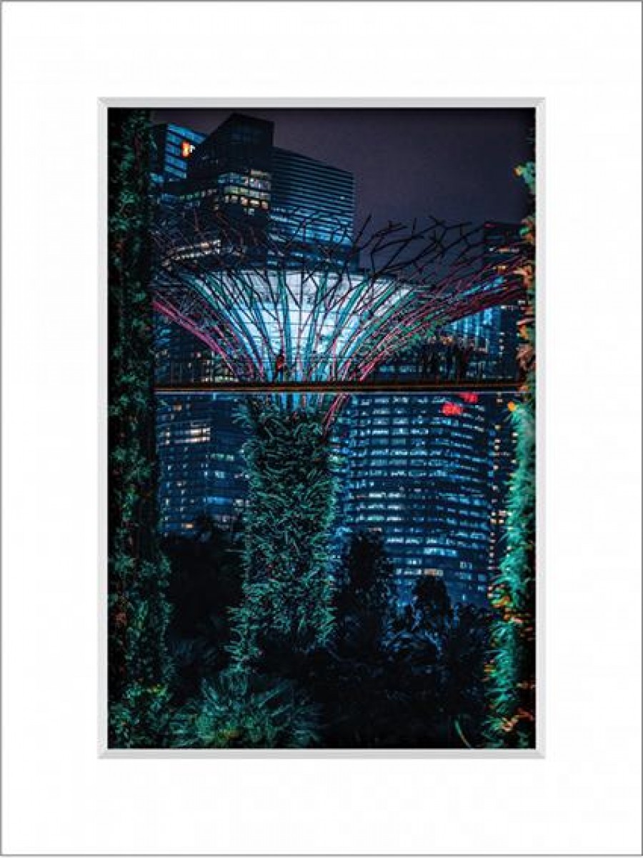 Gardens By The Bay 7
