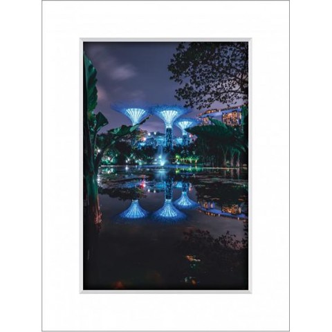 Gardens By The Bay 8