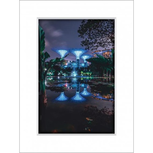 Gardens By The Bay 8