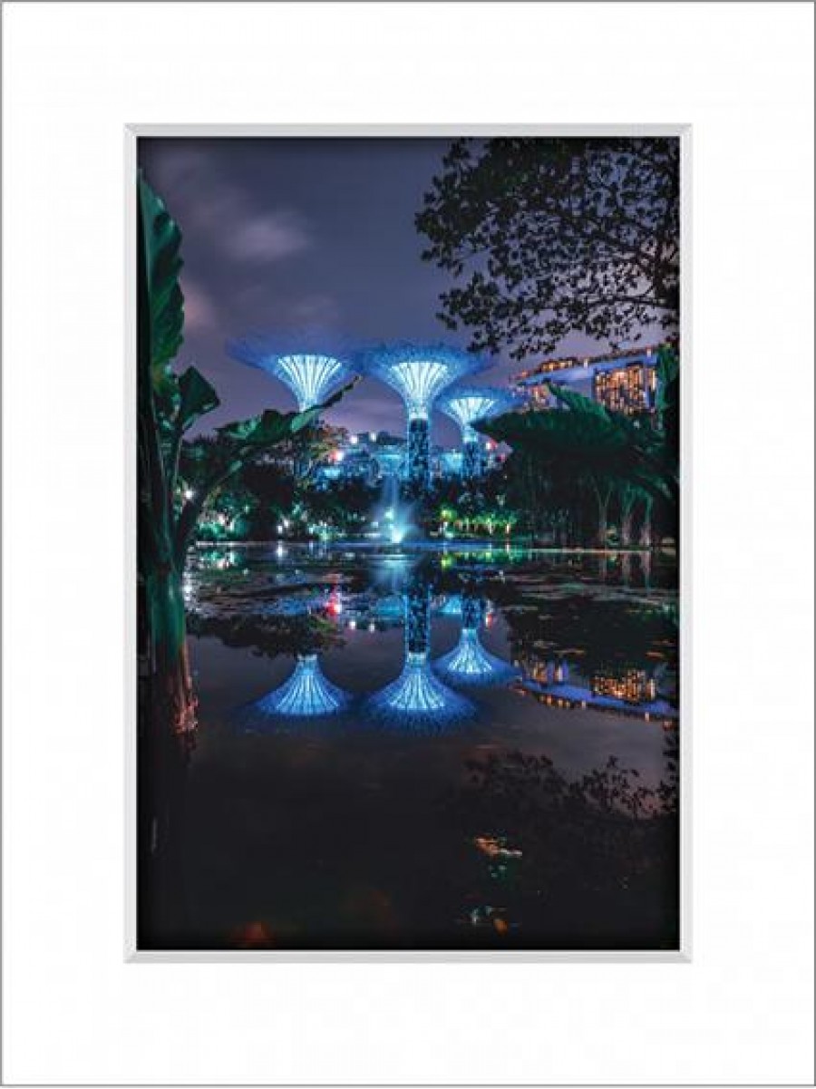 Gardens By The Bay 8