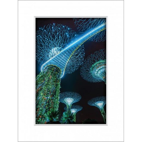 Gardens By the Bay 9