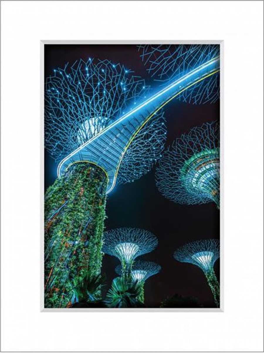 Gardens By the Bay 9