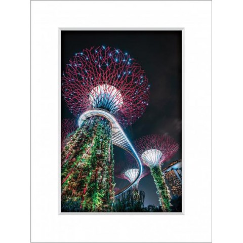 Gardens By The Bay 10