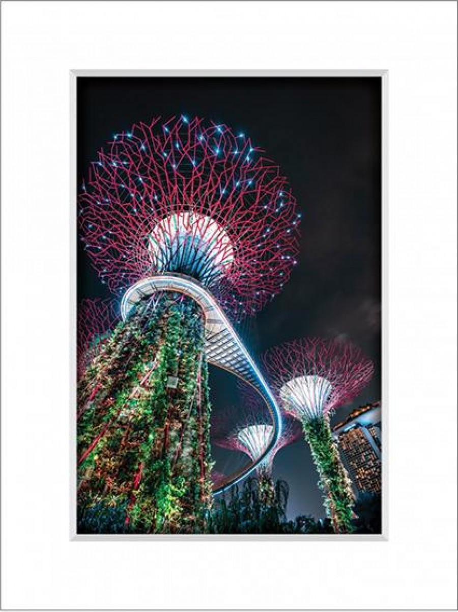 Gardens By The Bay 10
