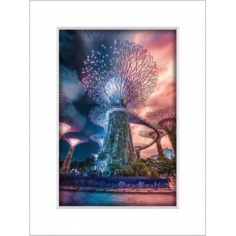 Gardens By The Bay 11