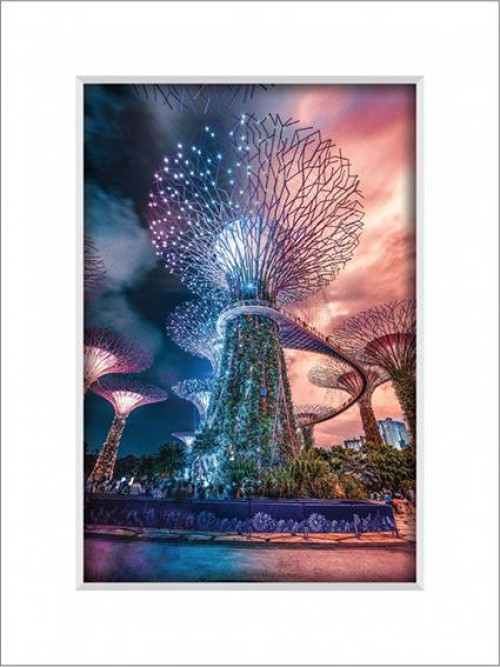 Gardens By The Bay 11