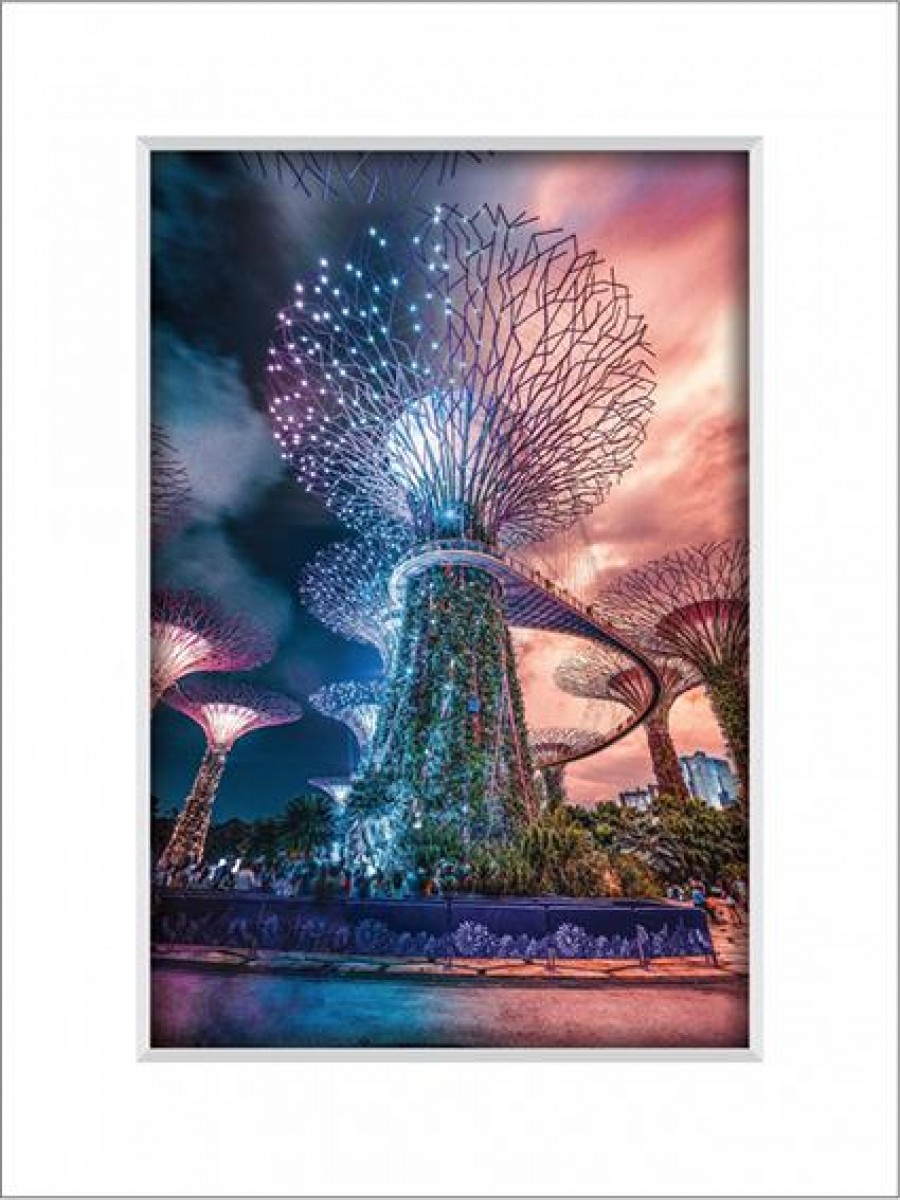 Gardens By The Bay 11
