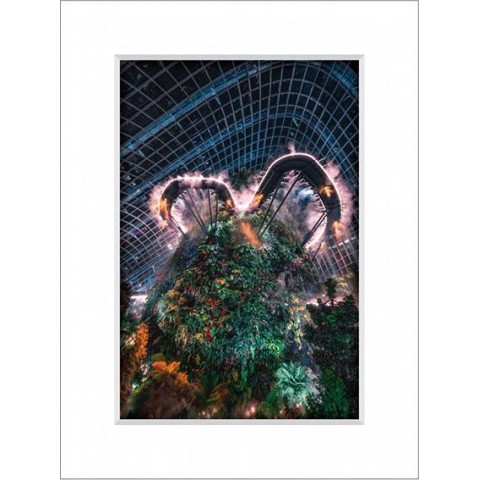 Garden By The Bay 12