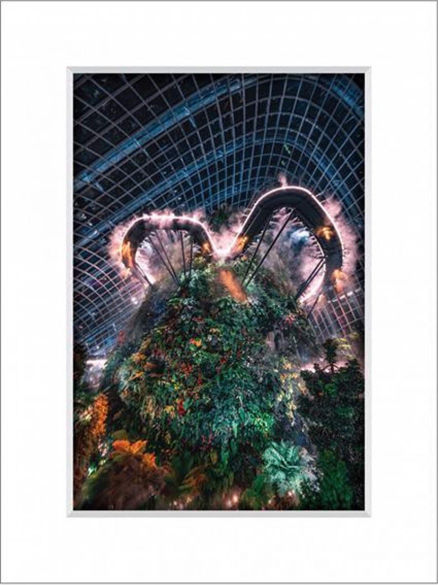 Garden By The Bay 12
