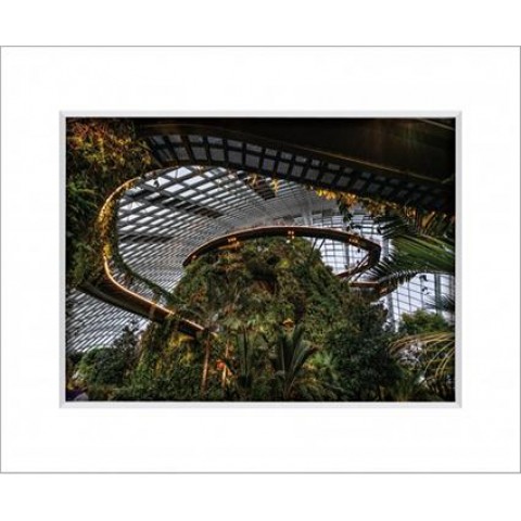 Gardens By The Bay 12