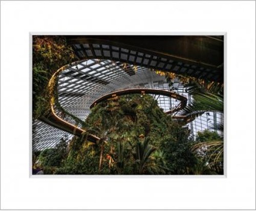 Gardens By The Bay 12
