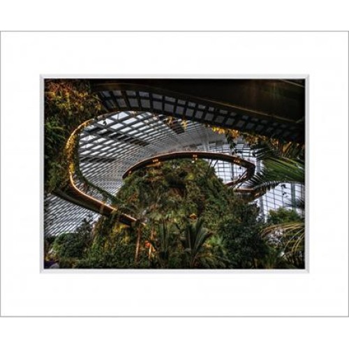 Gardens By The Bay 12