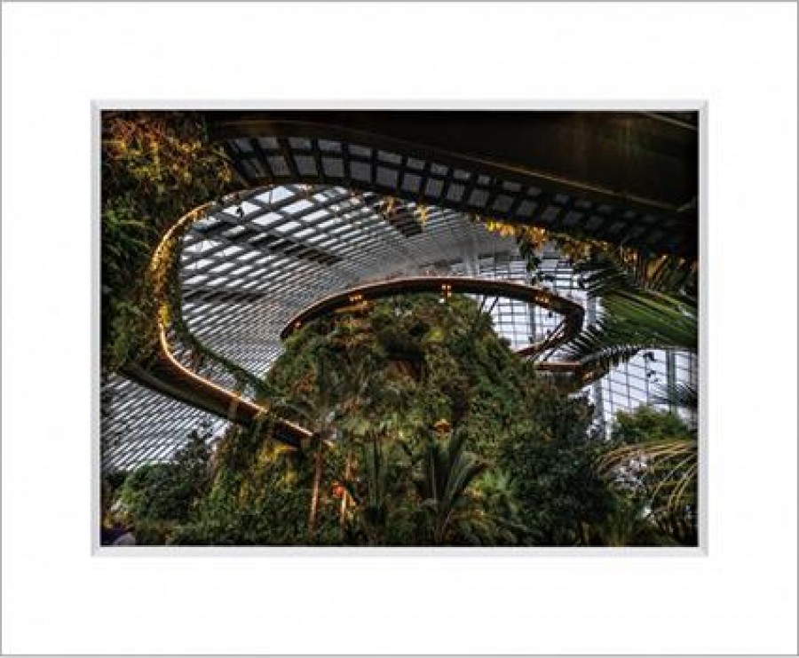 Gardens By The Bay 12