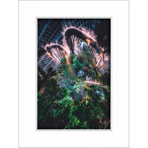 Gardens By The Bay 13