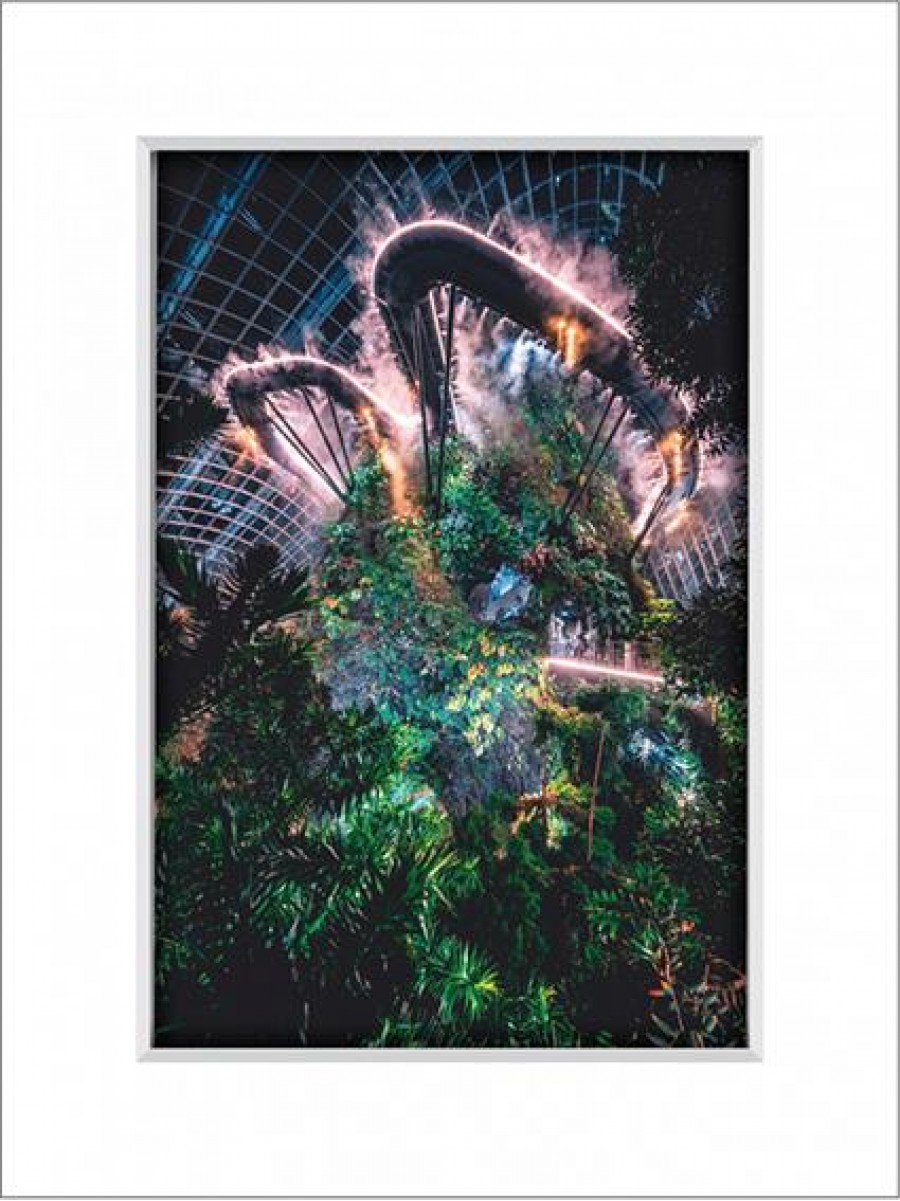 Gardens By The Bay 13