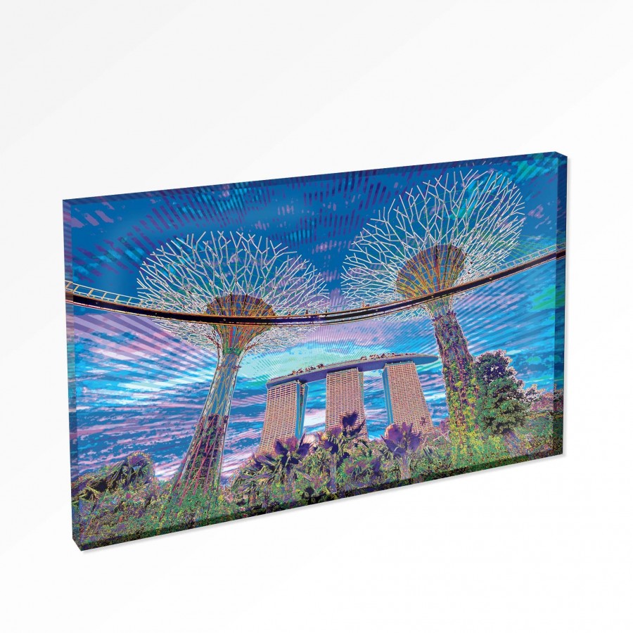 Singapore Gardens By The Bay Magnet