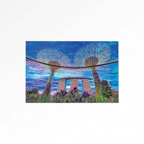 Singapore Gardens By The Bay Magnet